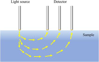 Principles, developments, and applications of spatially resolved spectroscopy in agriculture: a review